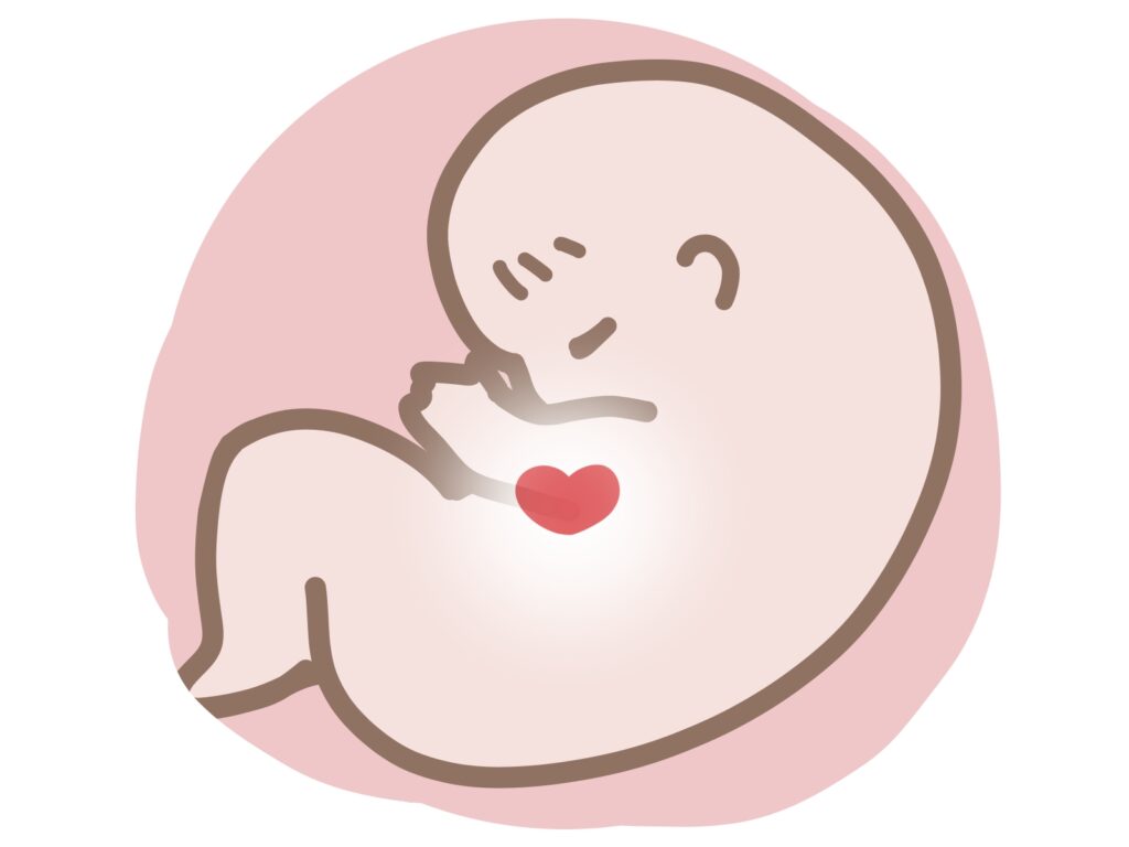 赤ちゃん 初期