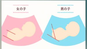 性別ジンクスまとめ|赤ちゃんは男の子?女の子?エコー&パパ・ママの特徴から予想しよう! - ヨガクマ